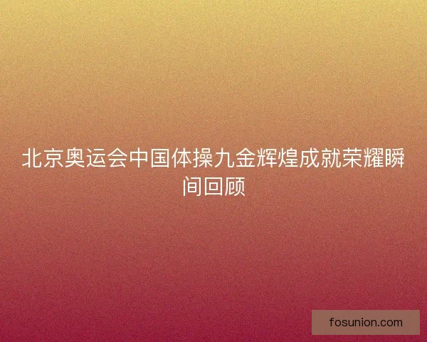 北京奥运会中国体操九金辉煌成就荣耀瞬间回顾